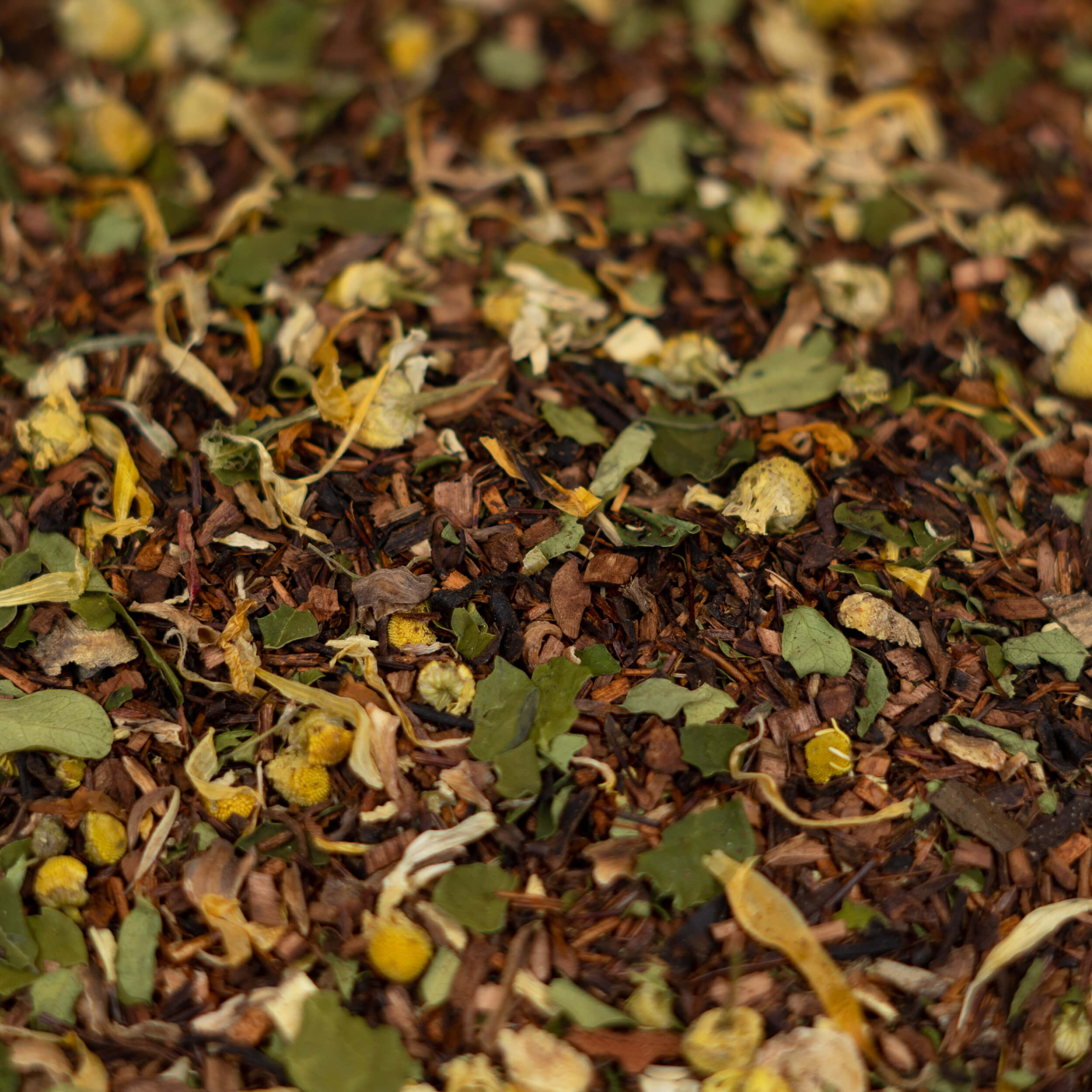 BIO Honeybush- & Rooibostee mit Orange & Moringa