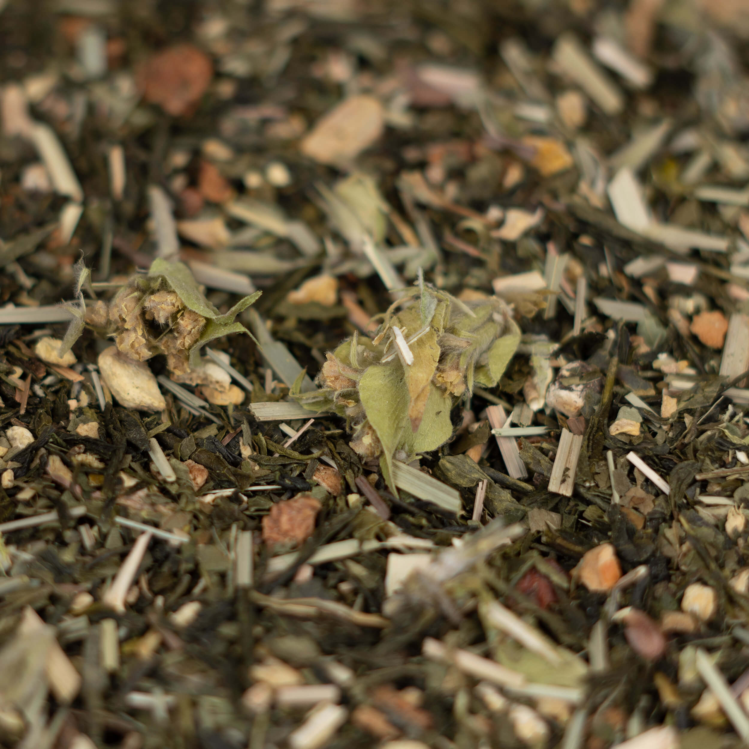 BIO Grüner Tee mit Lemongras, Ingwer & griechischem Bergtee